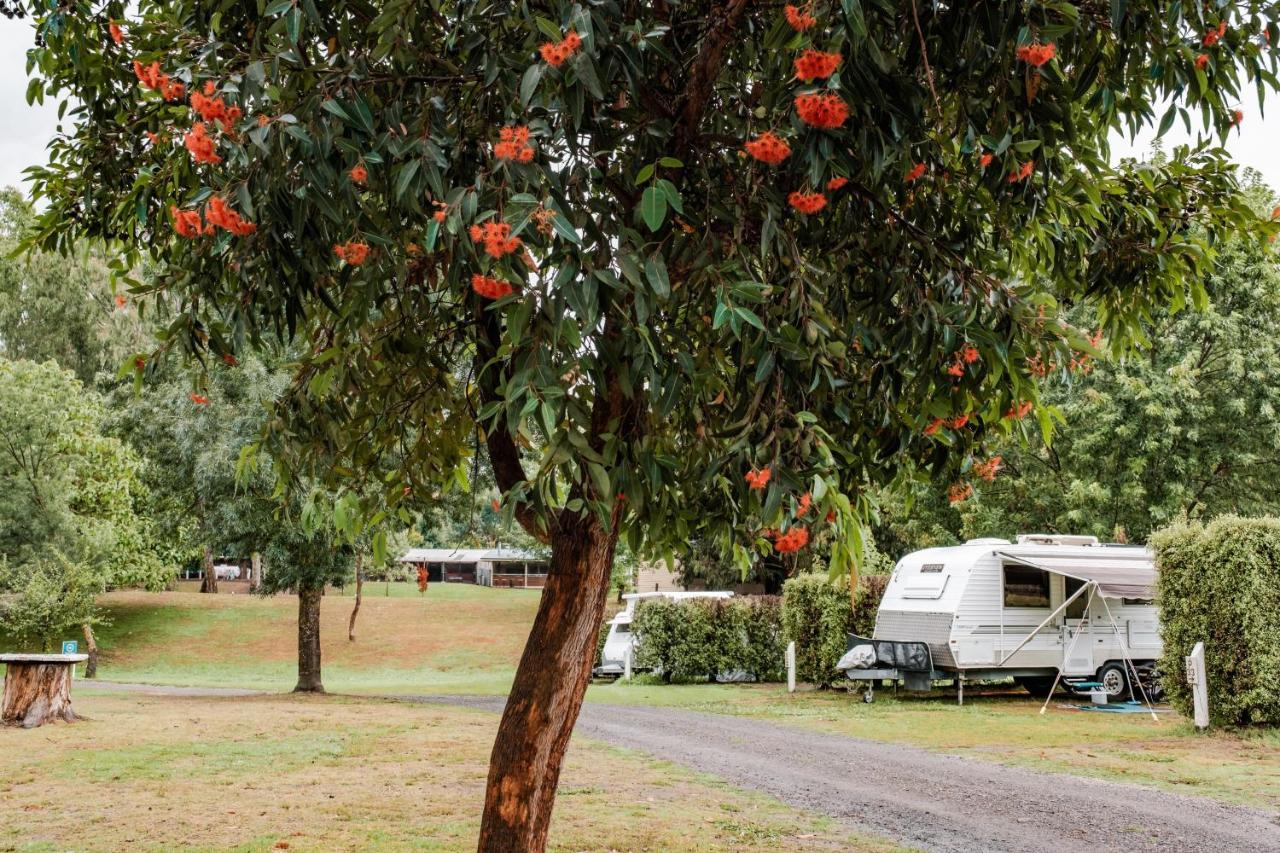 Big4 Breeze Holiday Parks - אילדון מראה חיצוני תמונה